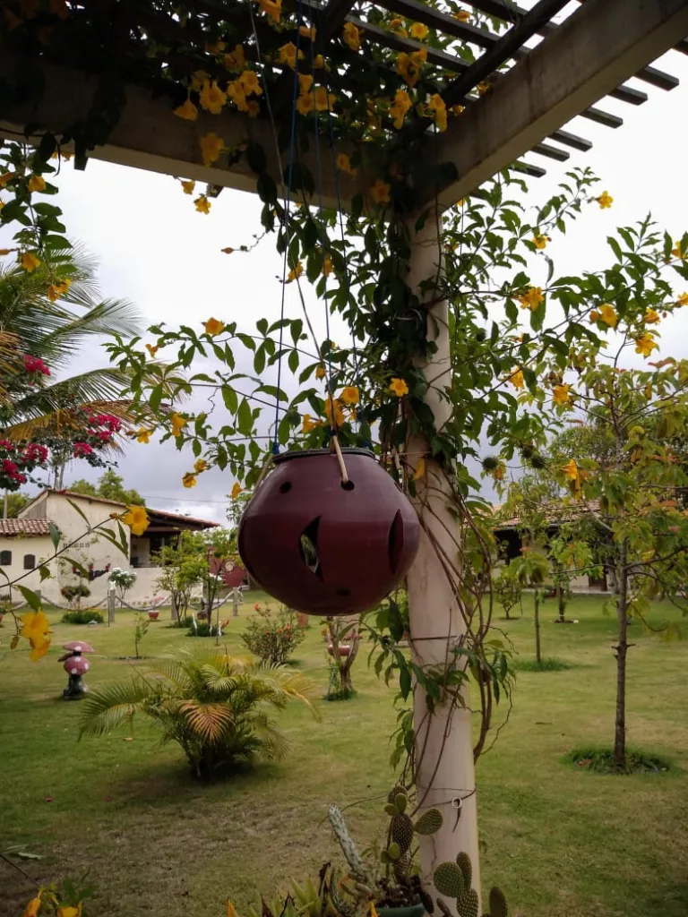 Praia Naturista