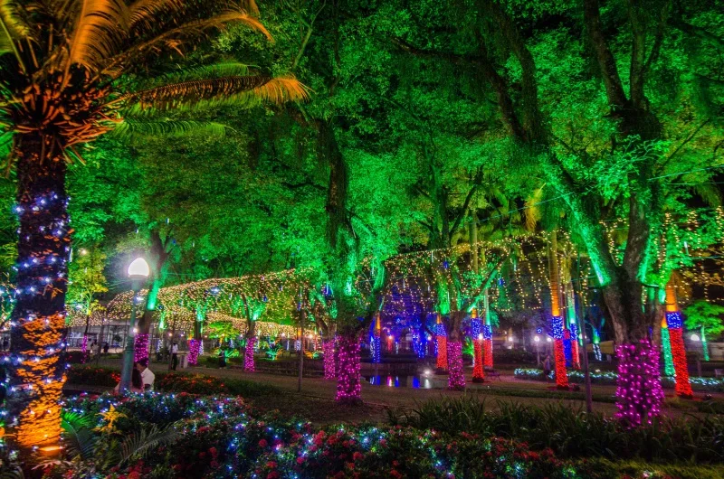 Parque Moscoso - luzes de natal