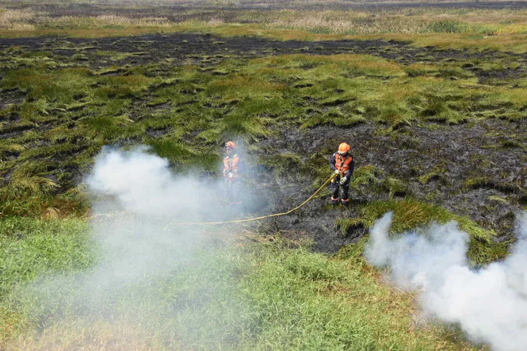 Bombeiros atuam em incêndio em área de turfa