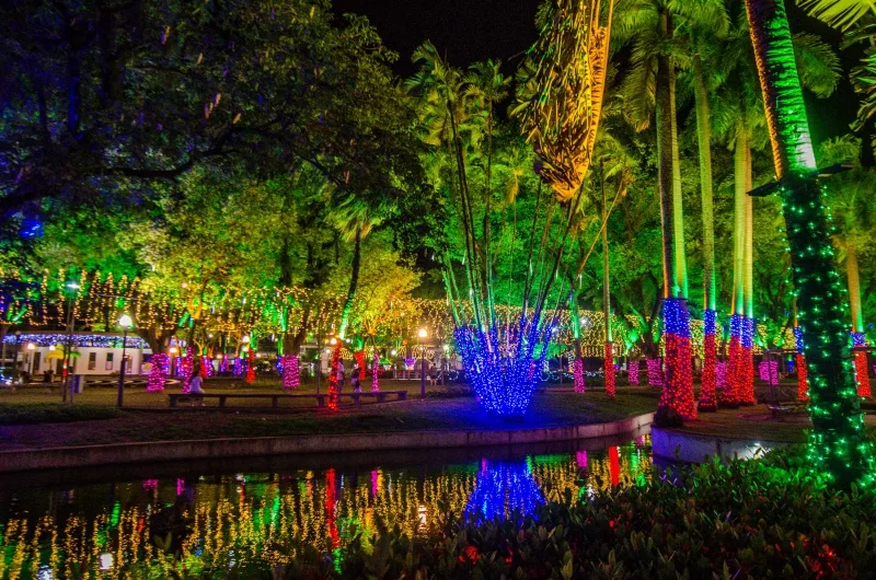 Parque Moscoso - luzes de natal