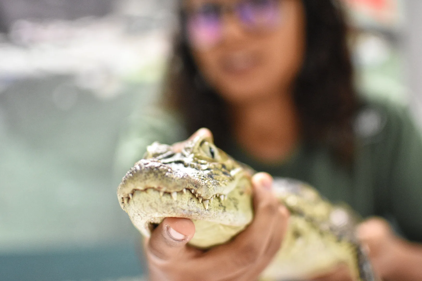 Projeto Caiman - Apae Serra