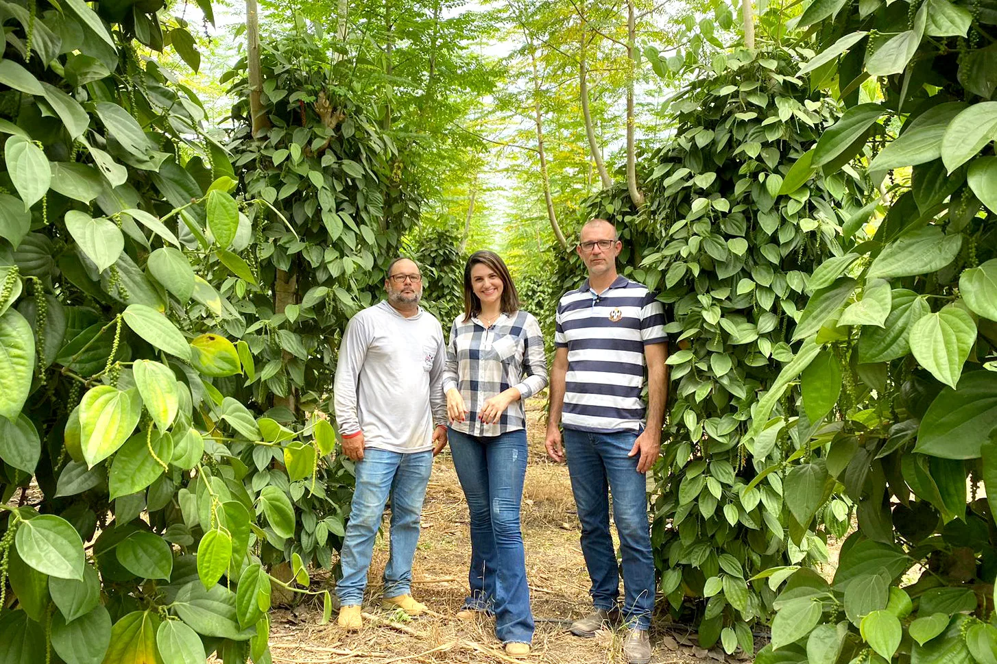 Agro Business