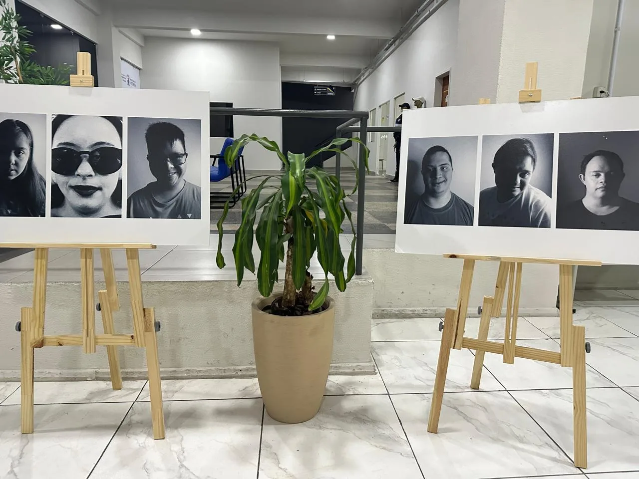 Exposição Olhares da Vitória Down