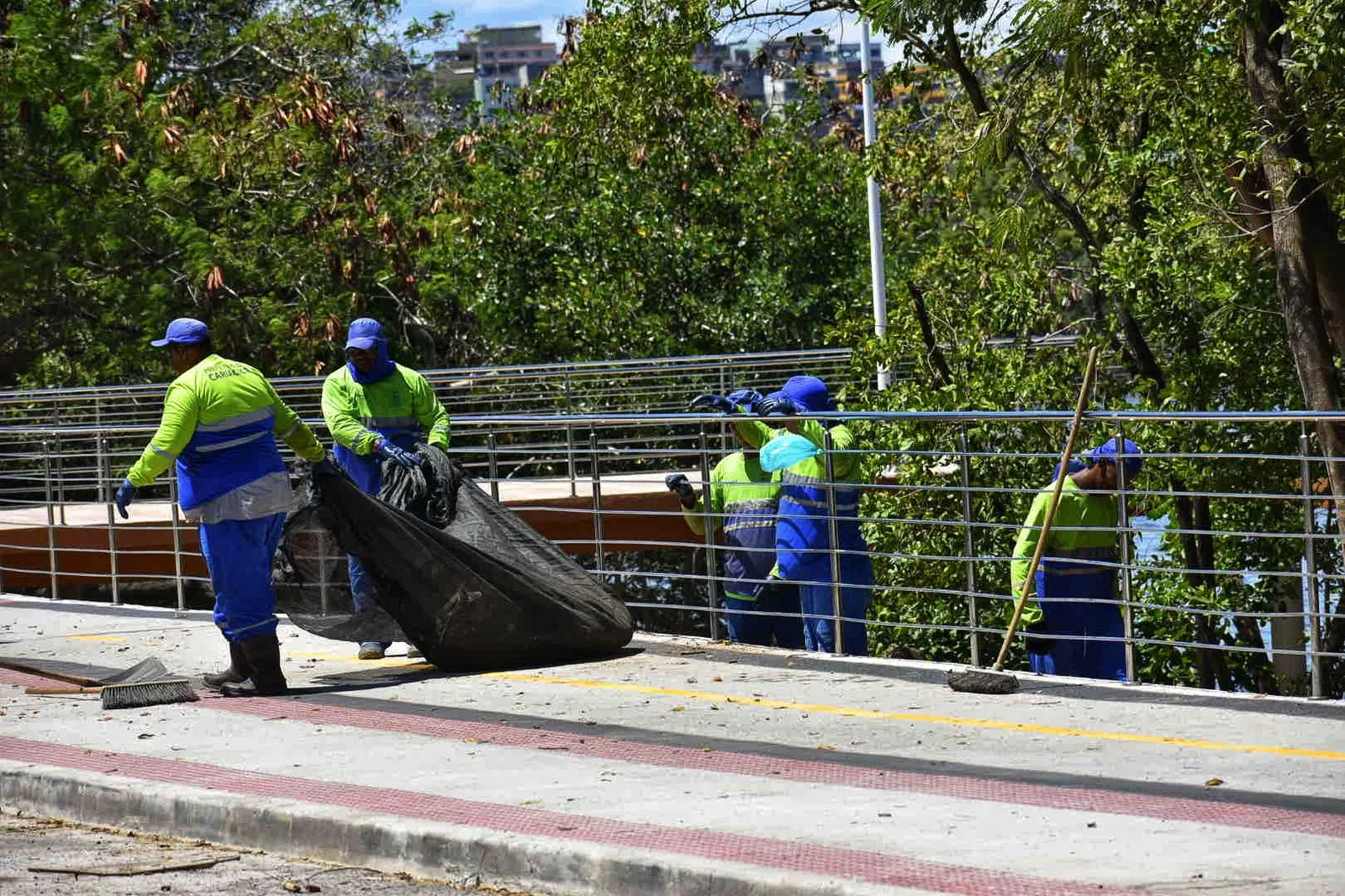 Limpeza da área de preservação da orla