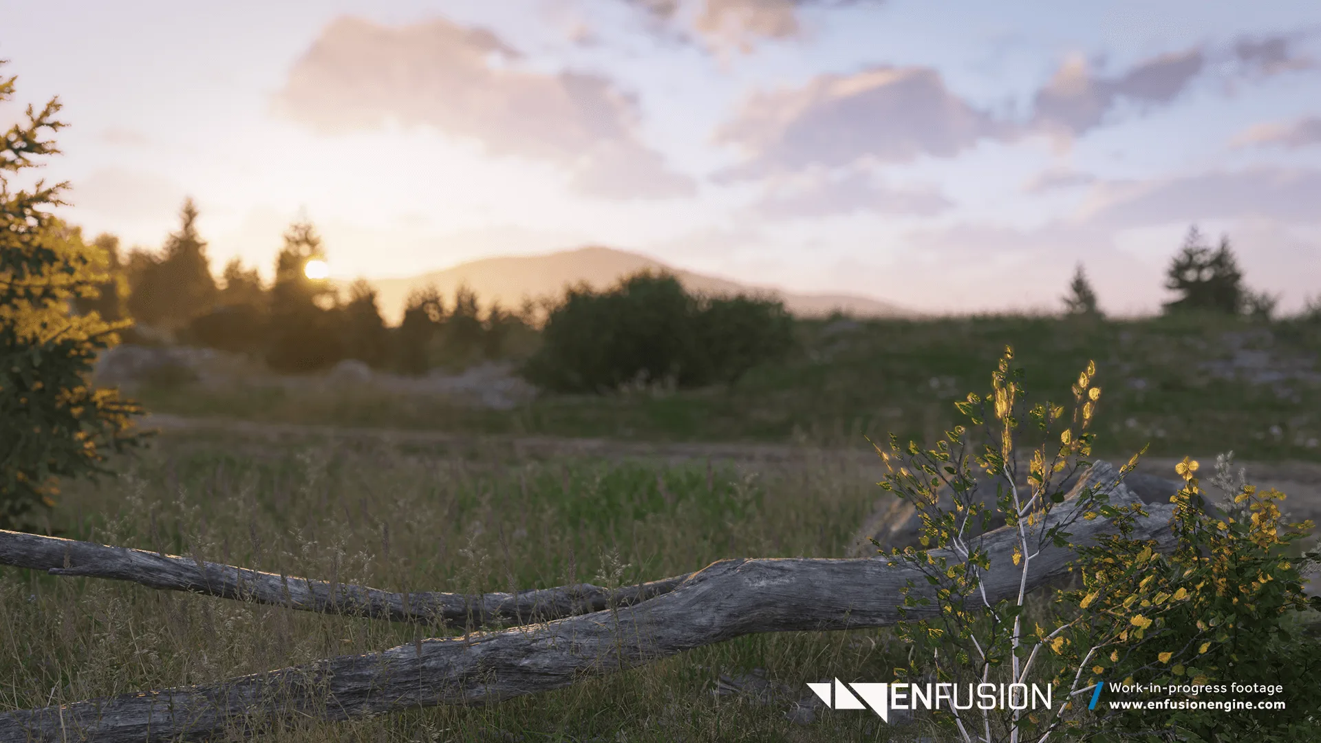 Bohemia Interactive