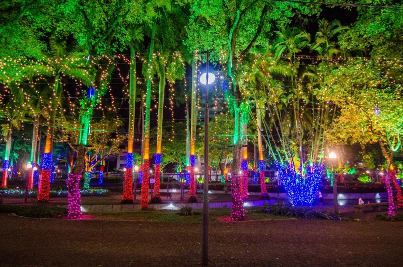 Parque Moscoso - luzes de natal