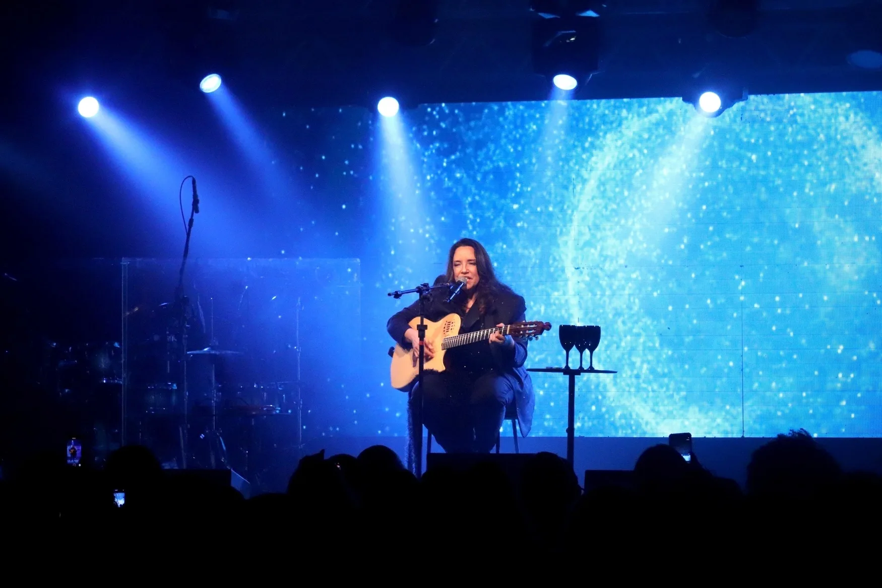 A cantora Ana Carolina em show, em Vitória