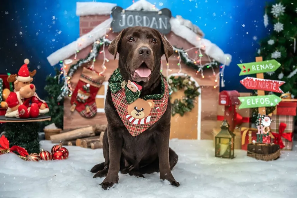 cachorro natal