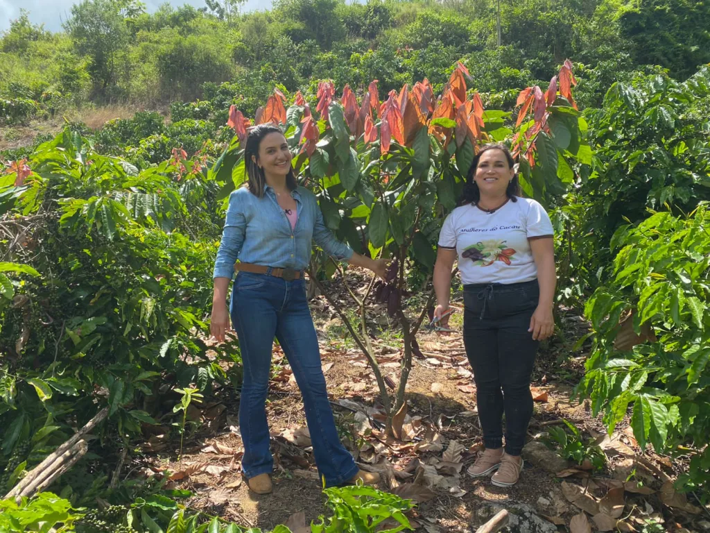 Programa Agro Business