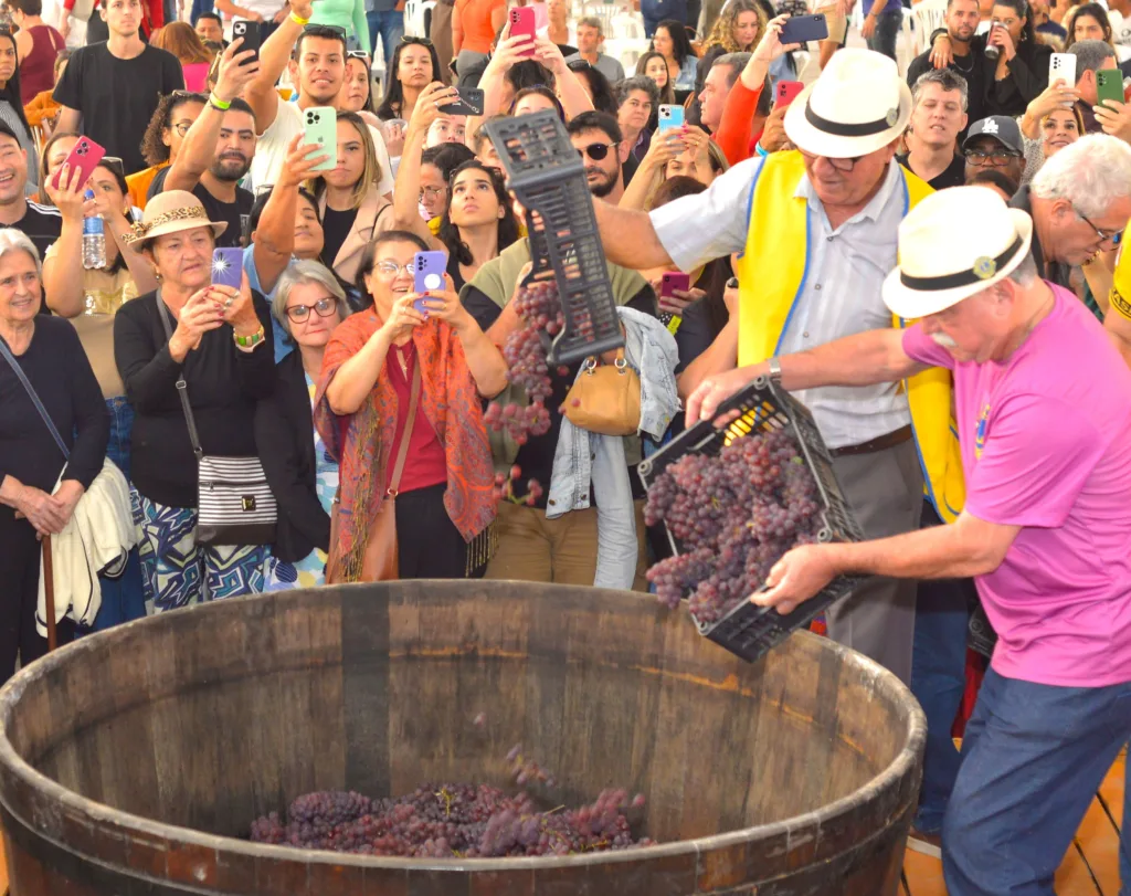 Festival do Vinho e da Uva