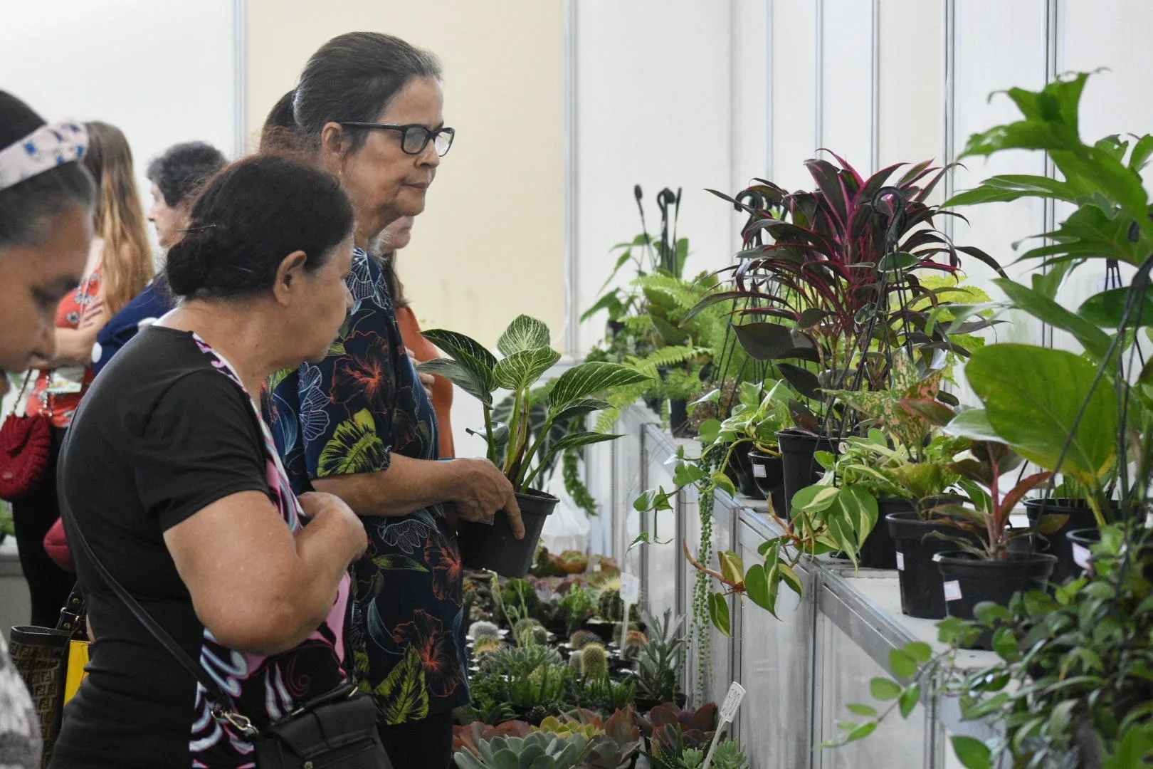 Feira Sabores da Terra