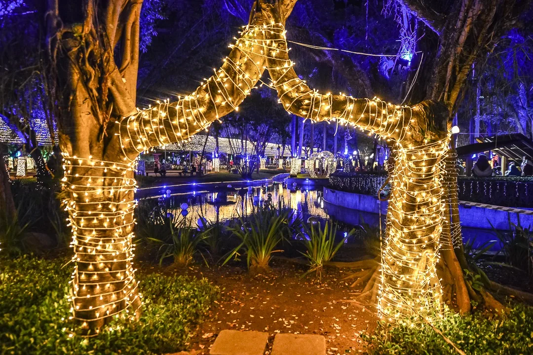 Natal da Gente