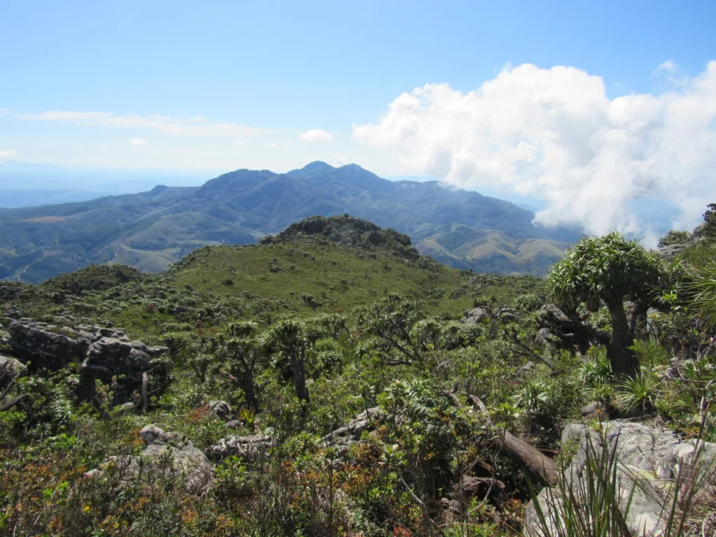 Maracujá das Pedras