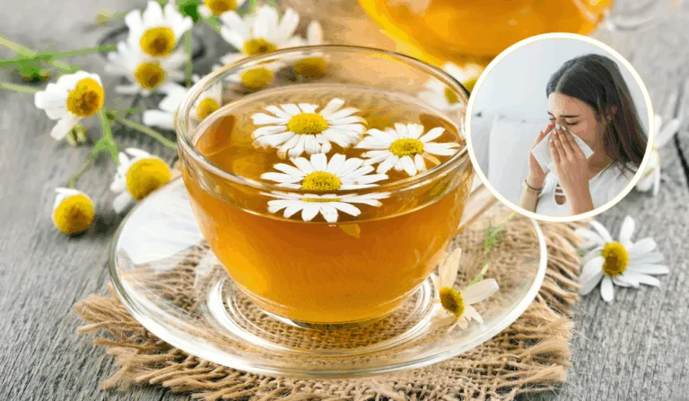Chá de camomila é antialérgico potente/Reprodução