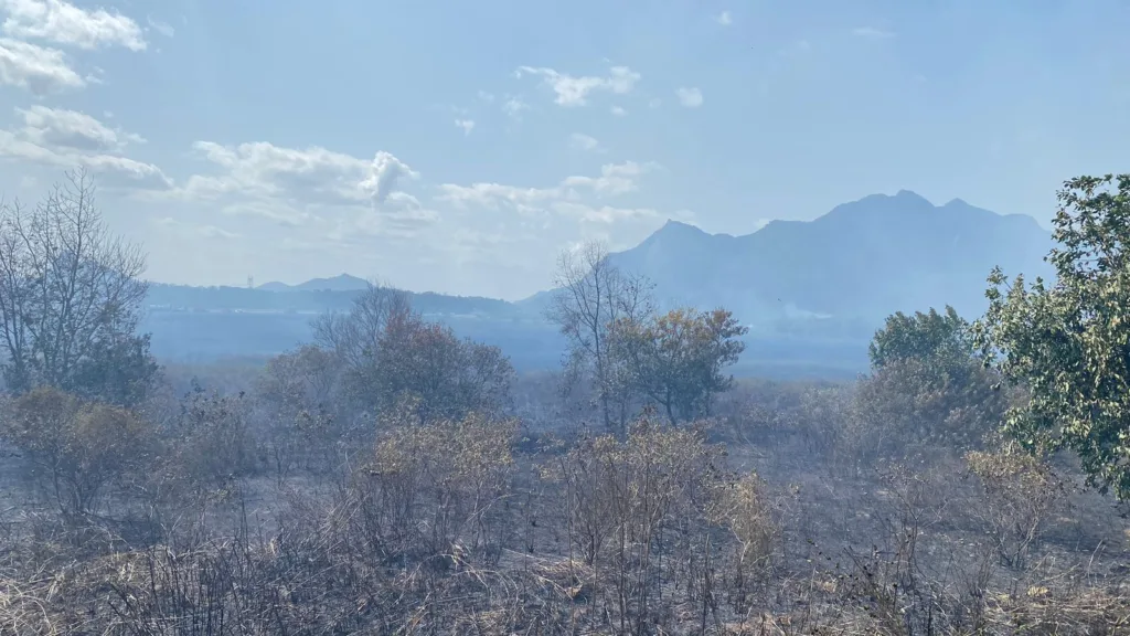 Incêndio em turfa no Contorno do Mestre Alvaro