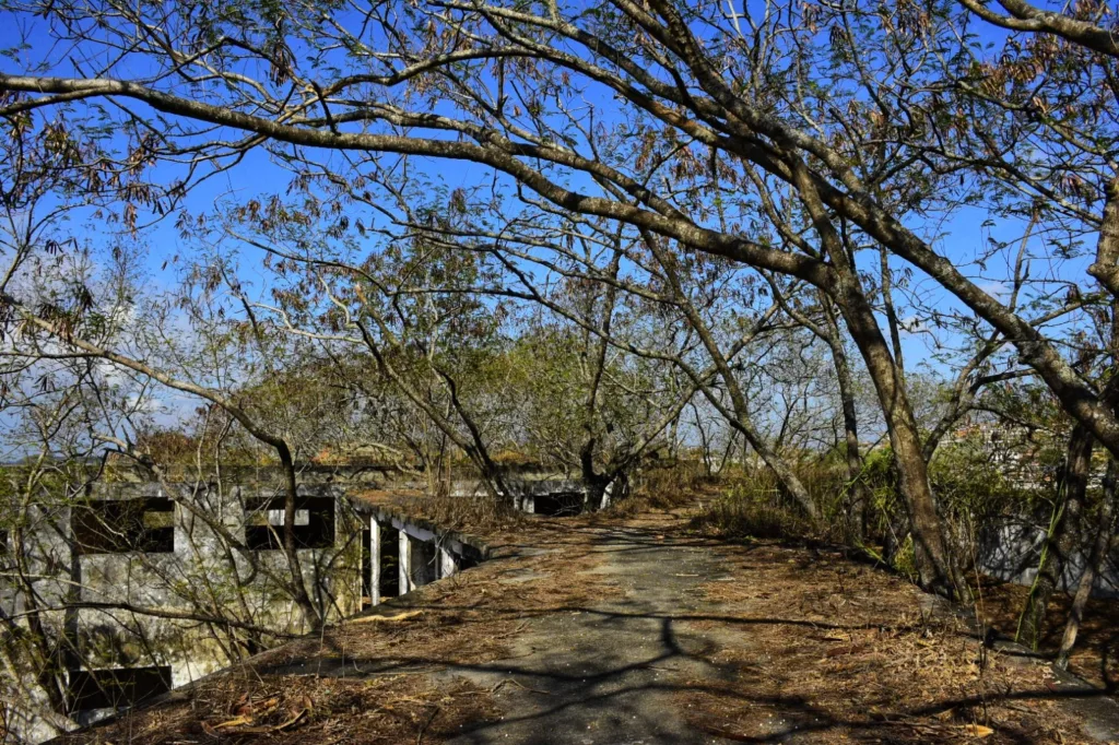 Ilha da pólvora