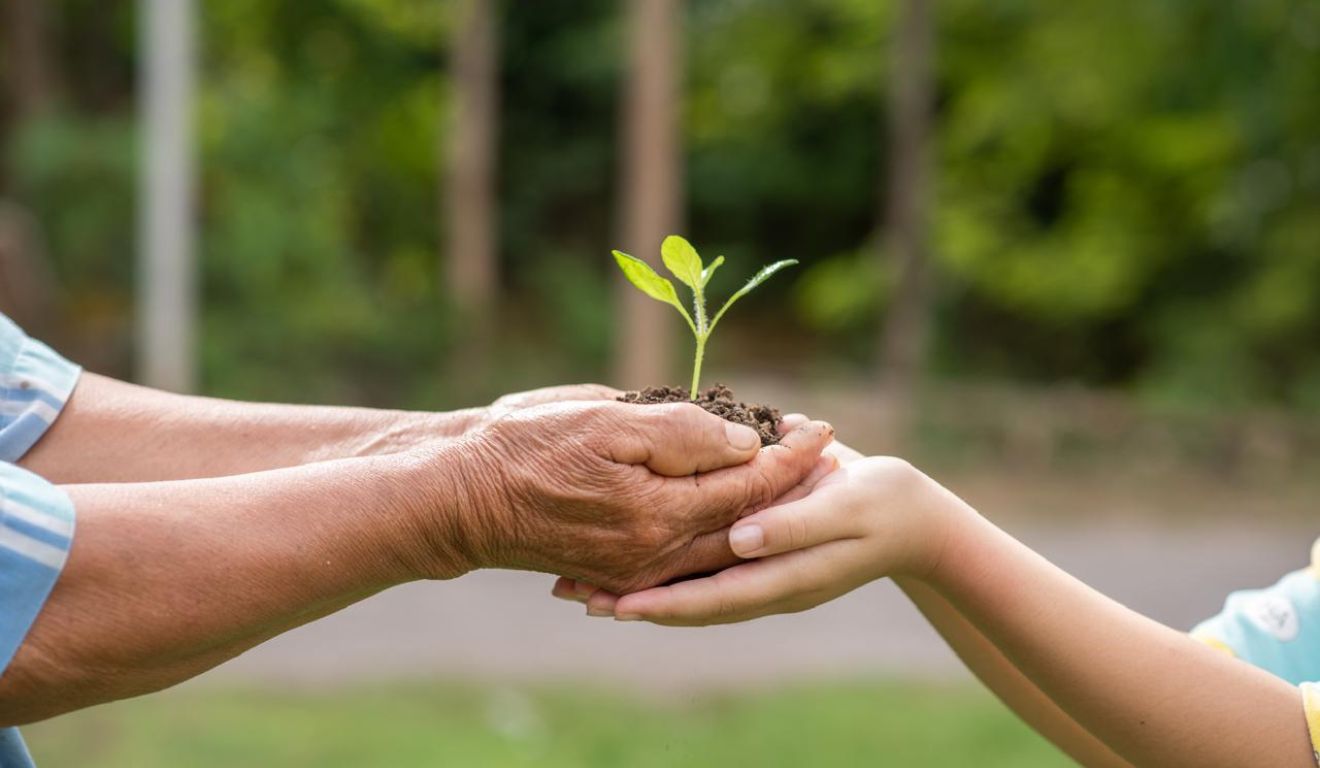 educação ambiental esg ecologia