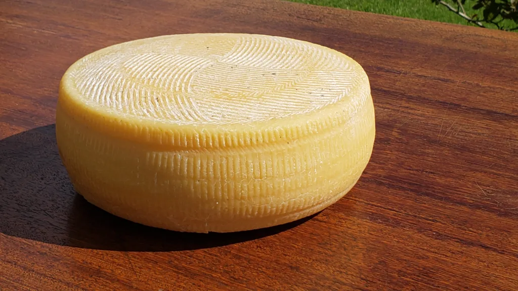Queijo San Jose do Artelatte da Feira Sabores da Terra - Edição Natal