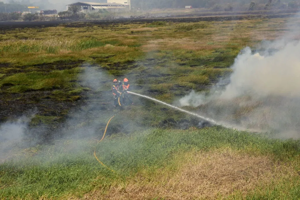 Bombeiros atuam em incêndio em área de turfa