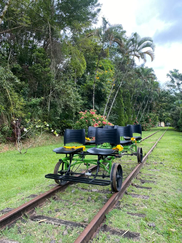 Rail Bike
