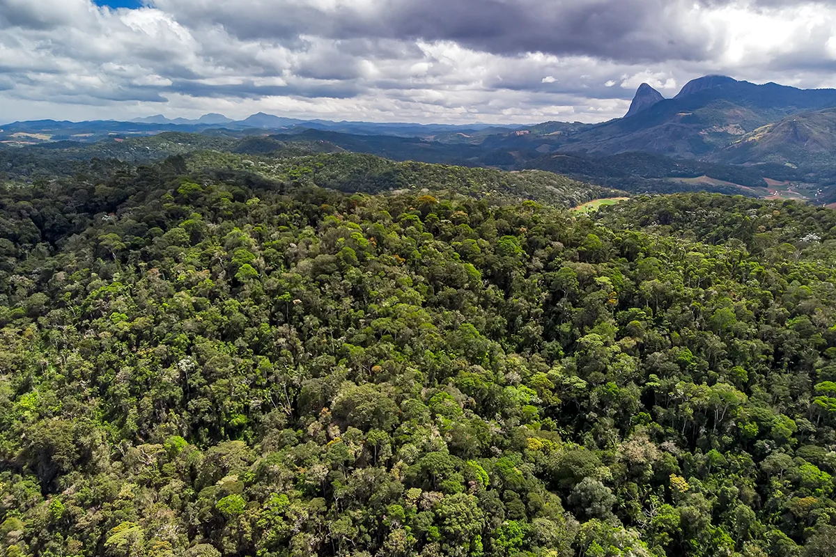 Reserva Águia Branca