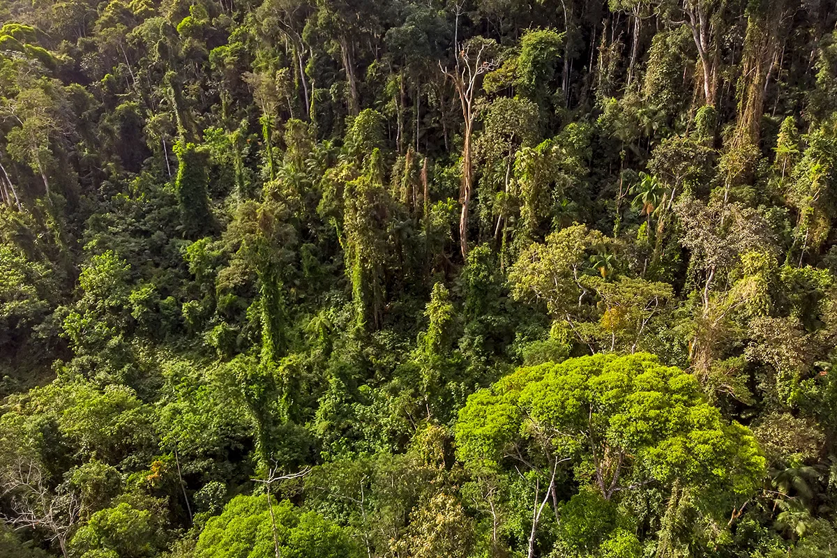 Reserva Águia Branca