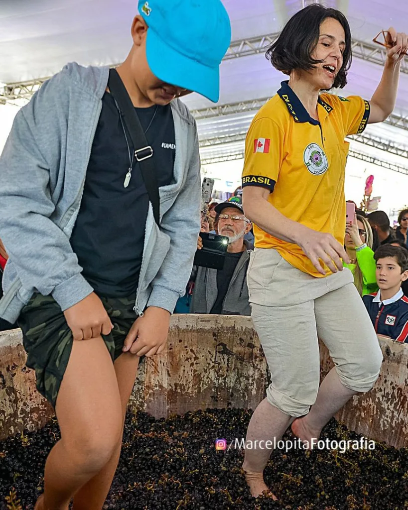 Festival do Vinho e da Uva