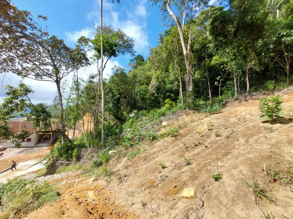 Idaf inicia operação contra desmatamento ilegal em Guarapari