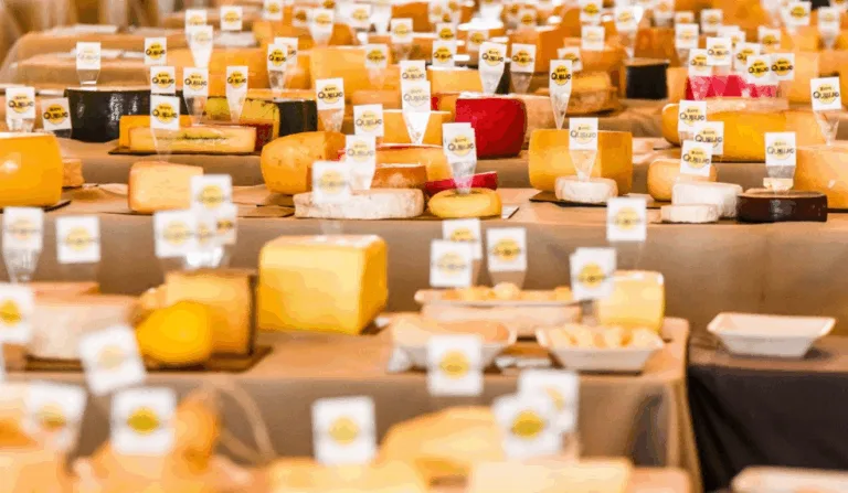 ExpoQueijo