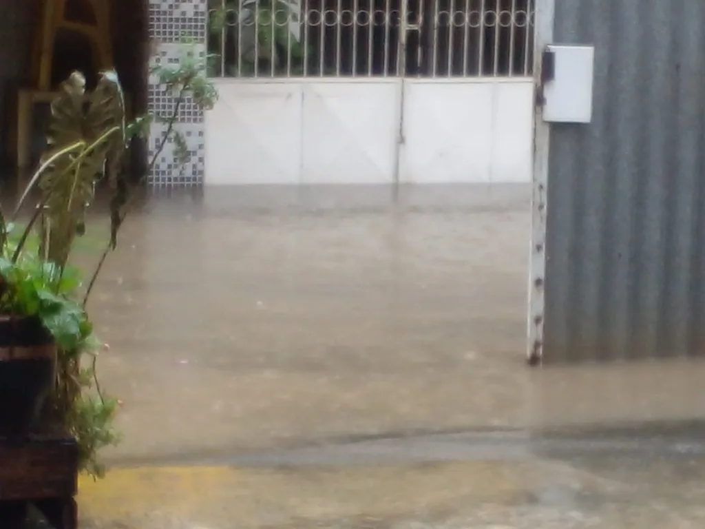ITACIBA 03.12