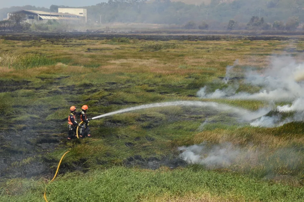 Bombeiros atuam em incêndio em área de turfa