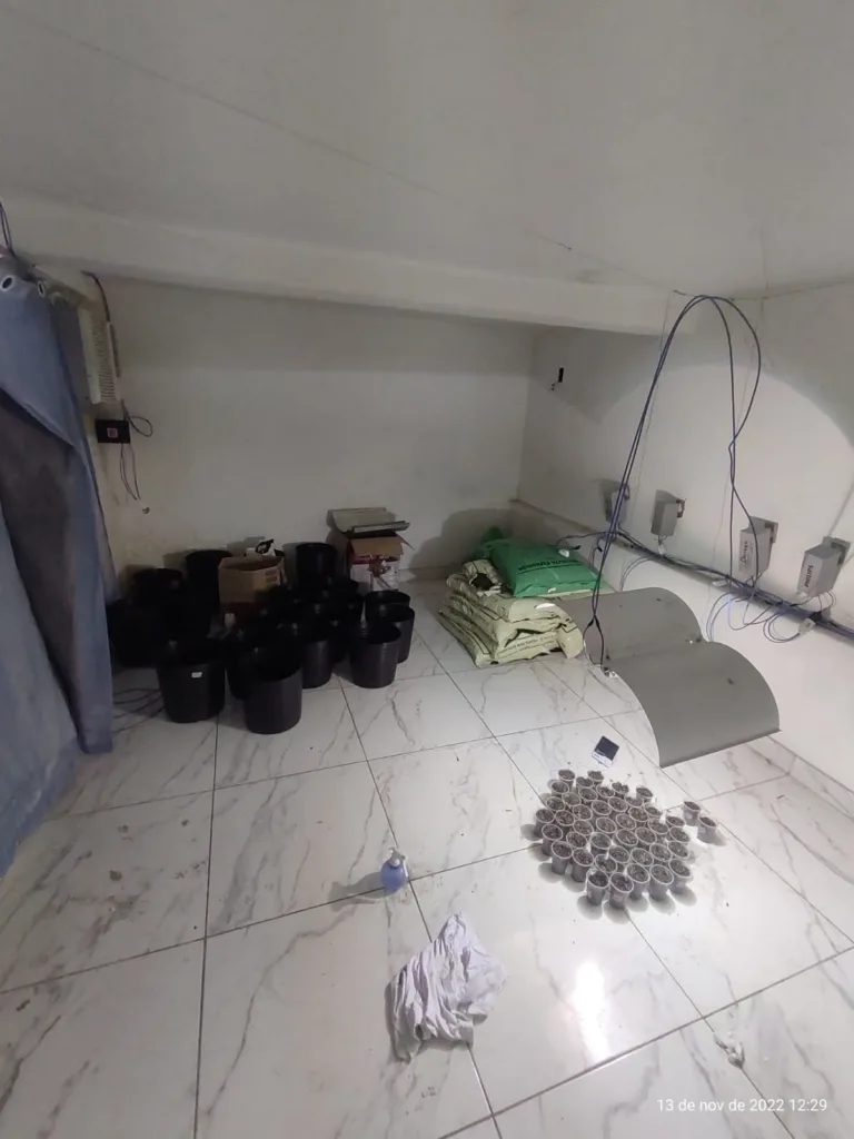 Mãe laboratório droga