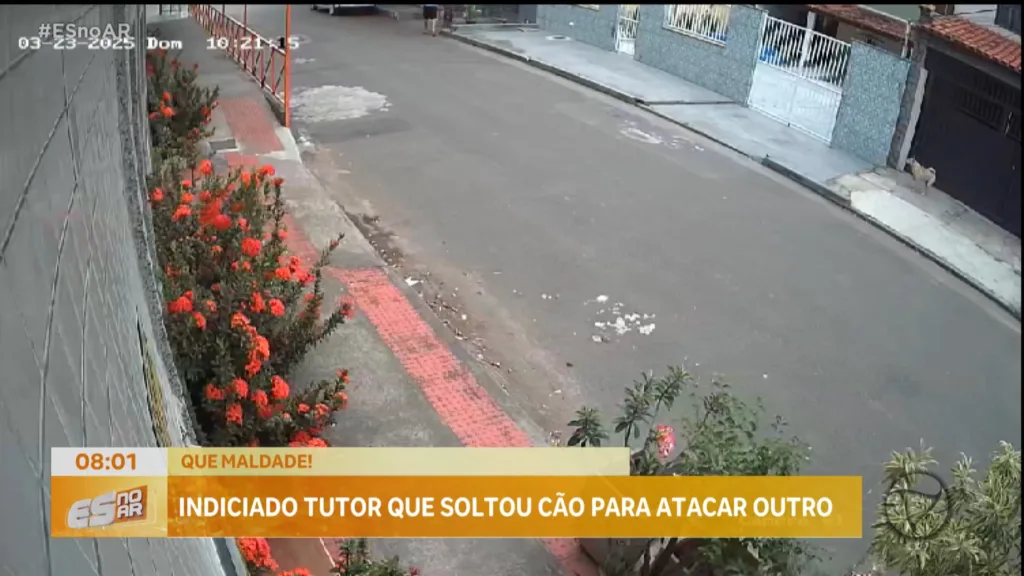 Homem é identificado por soltar cão para atacar animal comunitário Homem é identificado por soltar cão para atacar animal comunitário