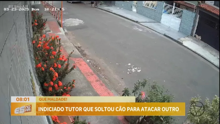 Homem é identificado por soltar cão para atacar animal comunitário