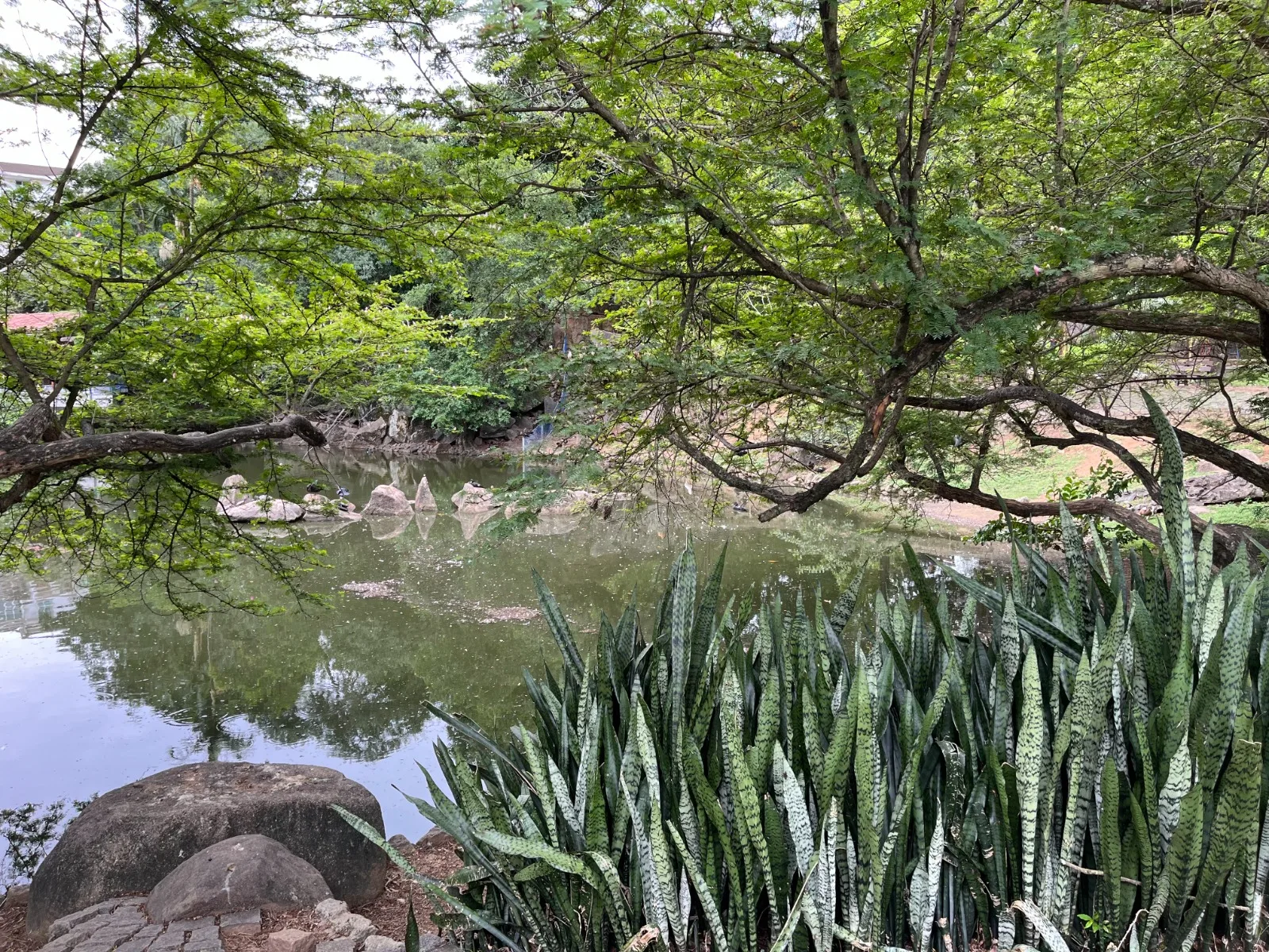 Pedra da Cebola
