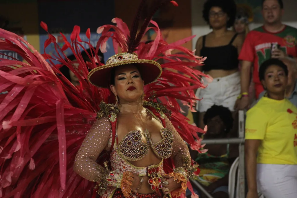 carnaval de vitoria - Mug