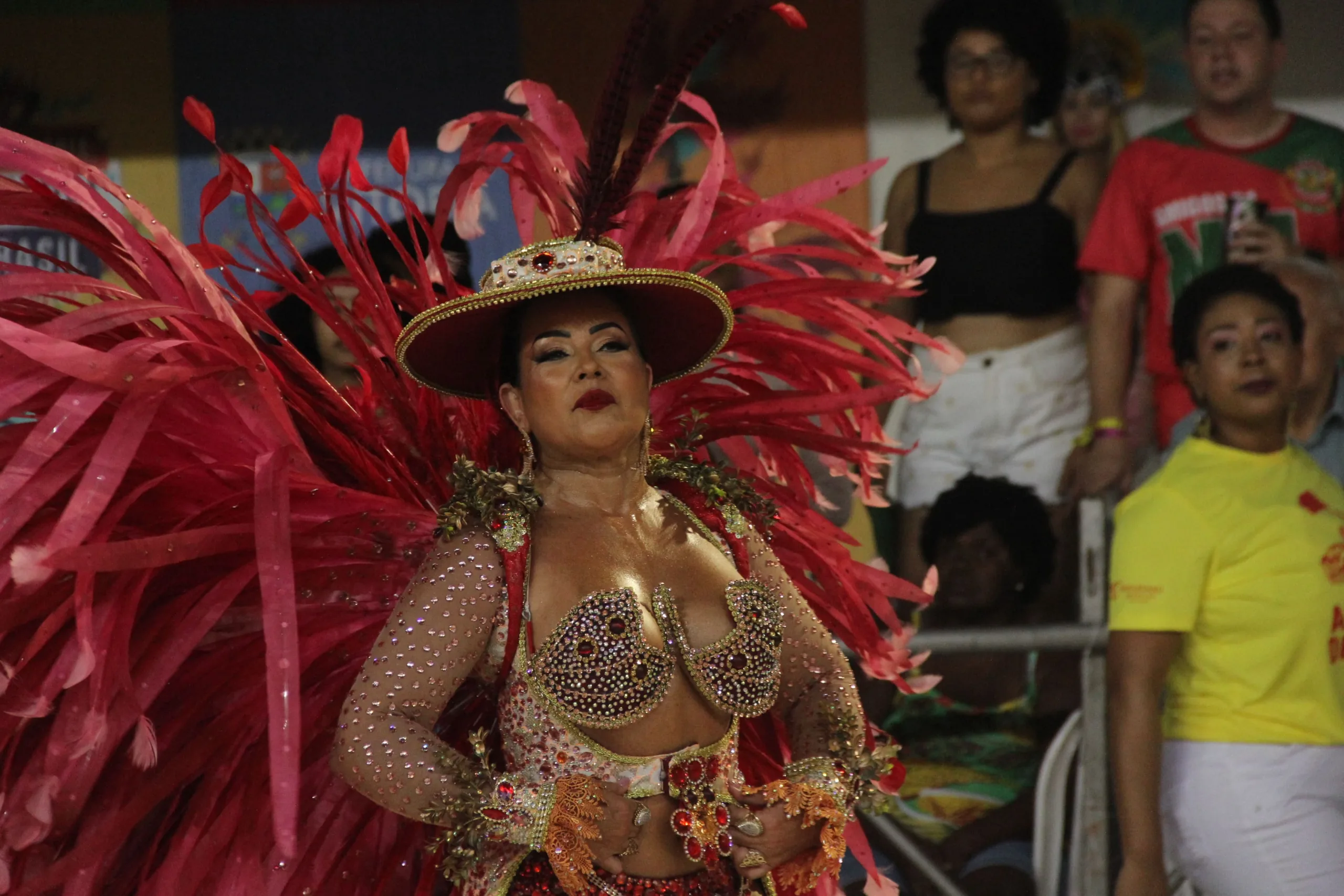 carnaval de vitoria - Mug