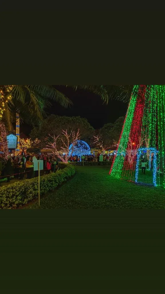Brilho de Natal 2019