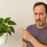 Esse erro com a jiboia pode impedir que ela cresça pendente como você sonha