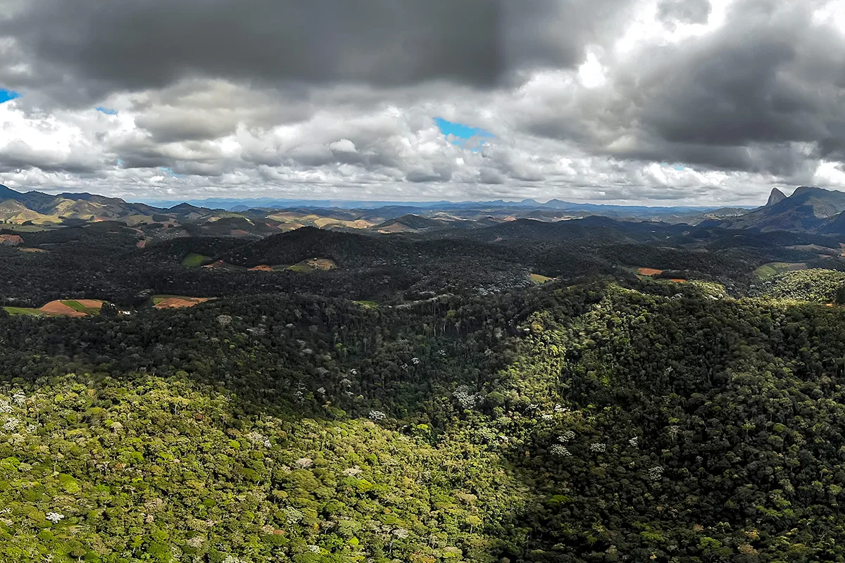 Reserva Águia Branca