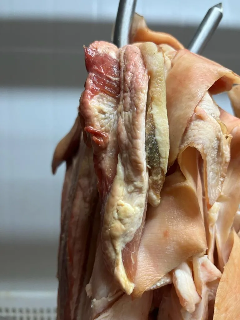 Fiscalização em frigorífico de Vila Velha apreende 14 toneladas de carne suína clandestina