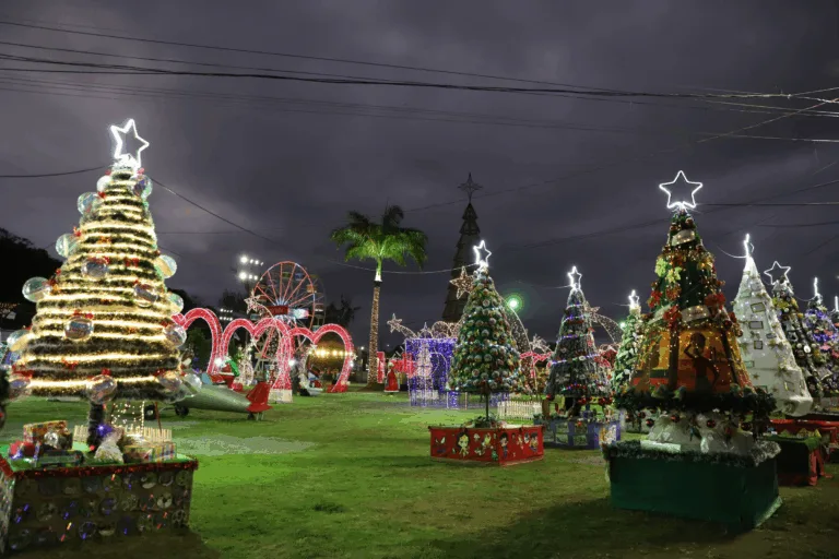 Foto: Adessandro Reis/PMVV