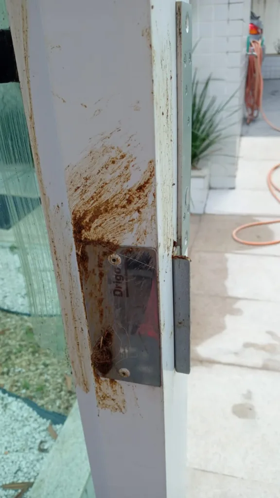 Mulher esfrega fezes de cachorro em portaria de predio - Vitoria