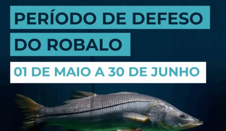 Defeso do robalo começa em 1º de maio no Espírito Santo/Foto: Divulgação Prefeitura de Vitória