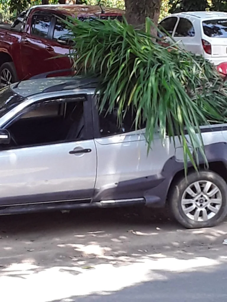 carro roubado