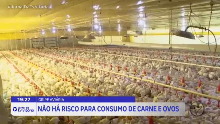 Gripe aviária leva países a suspender compra de carne brasileira