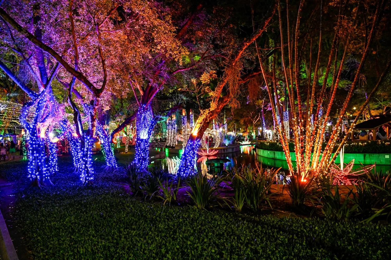 Natal de Encantos - Praça do Papa