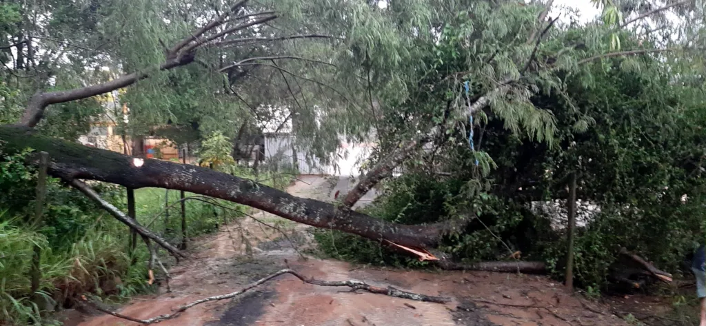 Chuva Viana