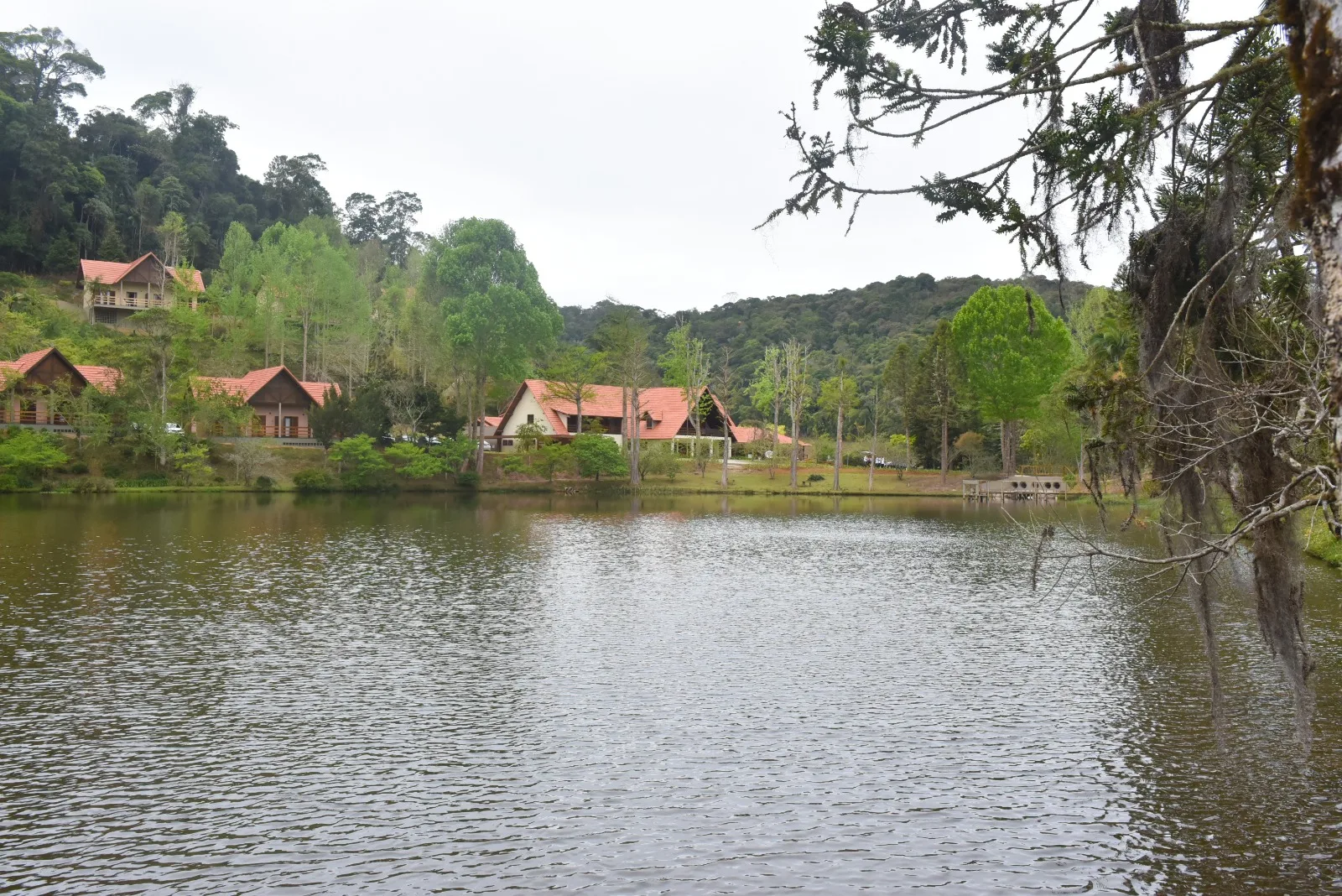 Eco Lodge Natureza
