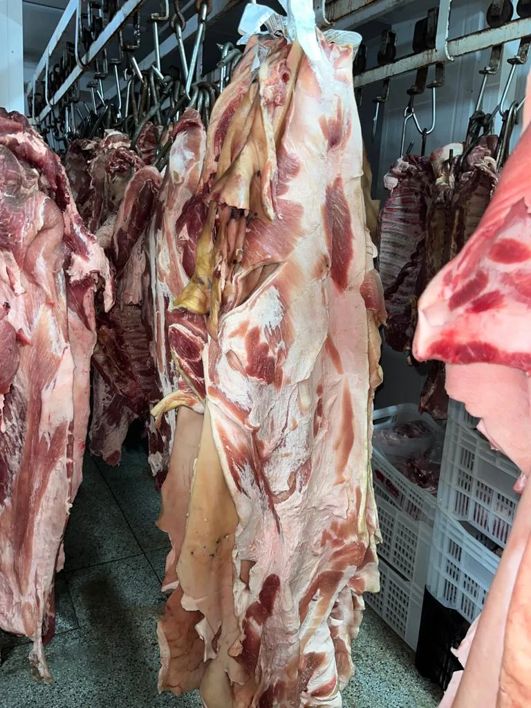 Fiscalização em frigorífico de Vila Velha apreende 14 toneladas de carne suína clandestina